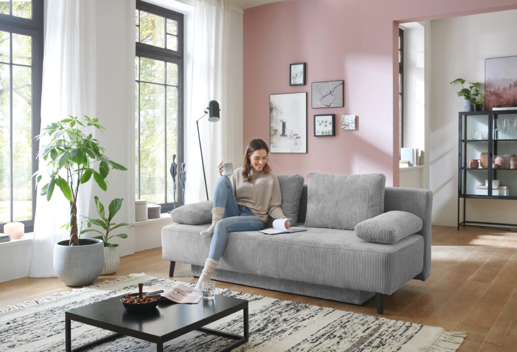 Modernes Wohnzimmer mit grauem Schlafsofa, stilvoller Einrichtung und natürlichem Licht – funktionales Design trifft gemütliche Wohnatmosphäre mit eleganten Deko-Elementen.