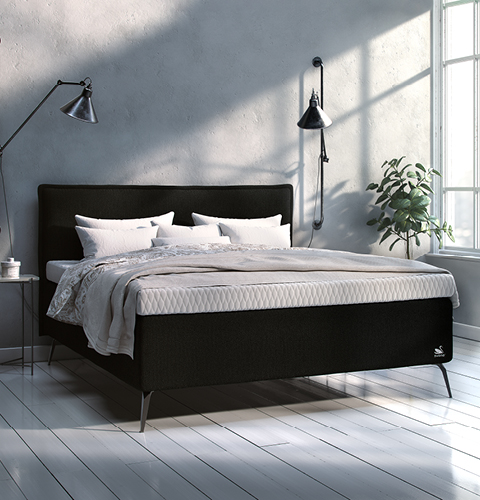 Modernes Schlafzimmer mit schwarzem Bettgestell, weißen Textilien und grüner Zimmerpflanze; klare Linien und viel Tageslicht schaffen eine ruhige Atmosphäre