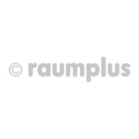 Raumplus Logo